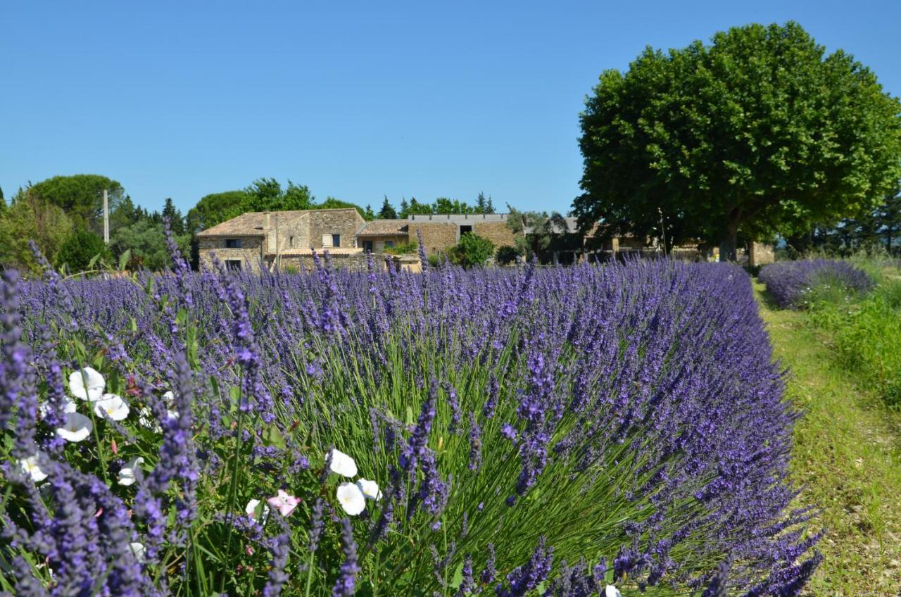 Mas De L'Amme Bed & Breakfast Valréas Екстериор снимка