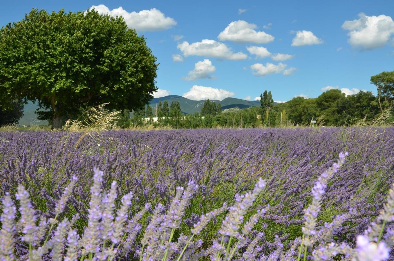 Mas De L'Amme Bed & Breakfast Valréas Екстериор снимка